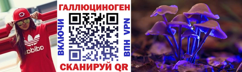 где купить наркоту  Заозёрск  Псилоцибиновые грибы Cubensis 